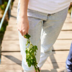 How Do You Find a Soul Mate?